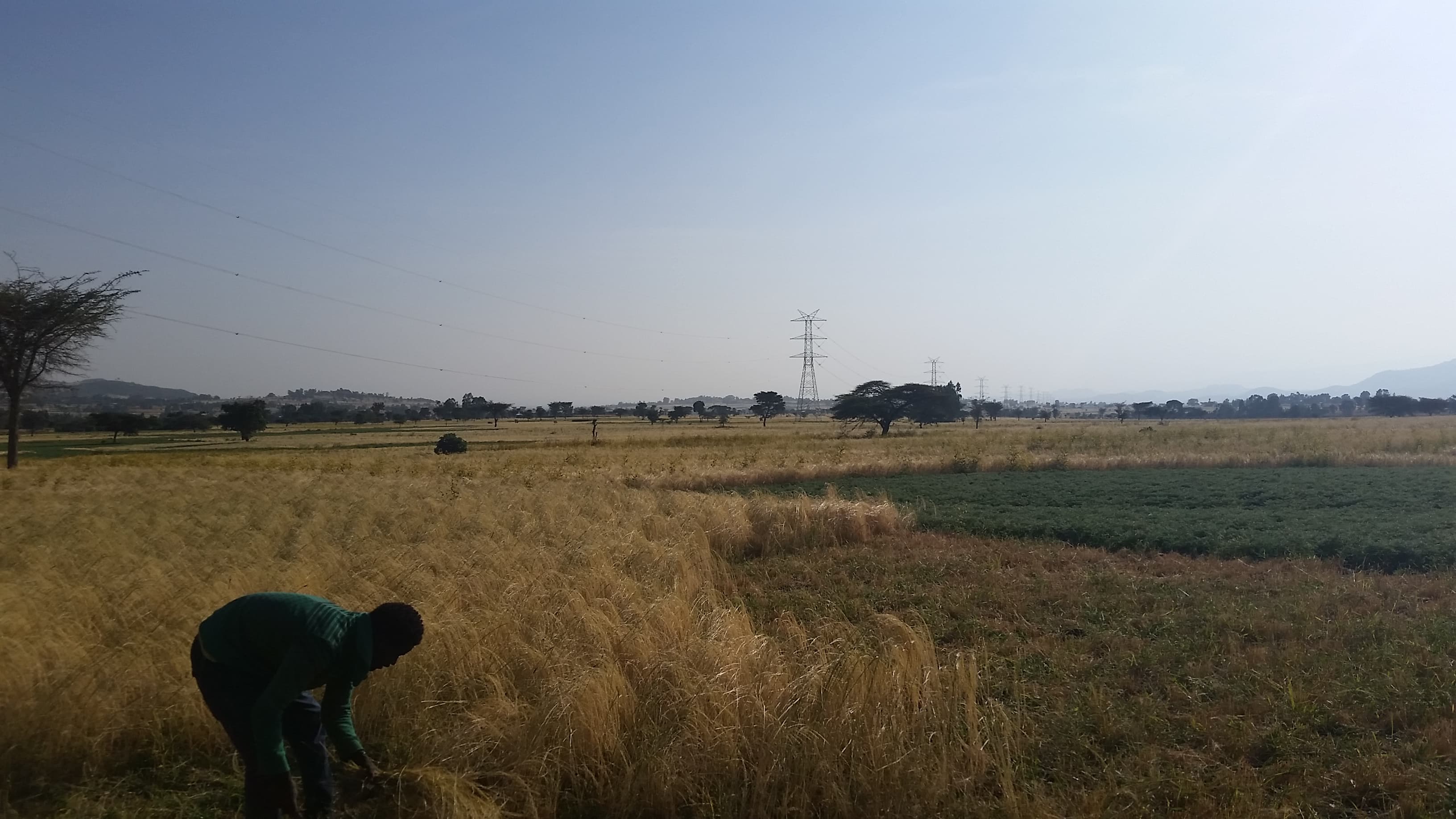 Energy infrastructure